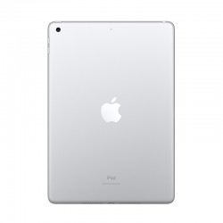 iPad 8 gen wifi argento - retro